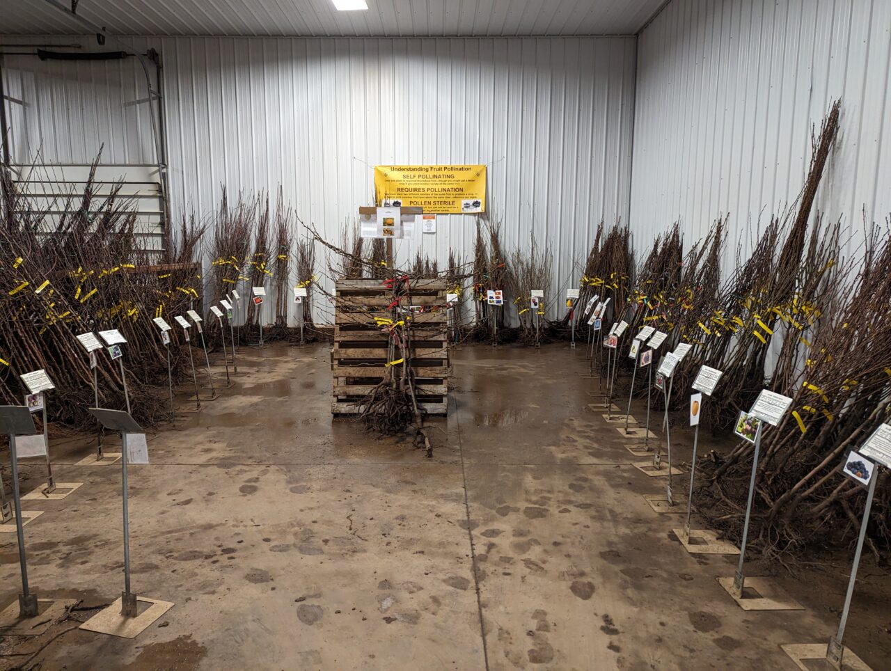 4 Roots Barn Bare Root Barn - Turnbull Nursery and Garden Center