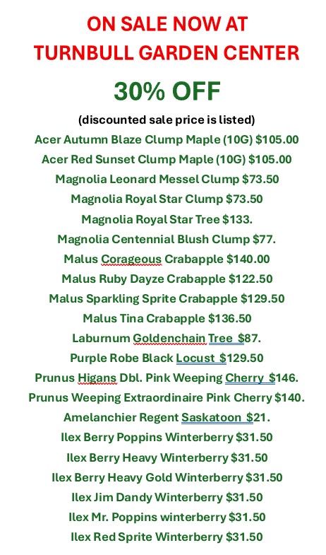 30% OFF SALE 5.29.2026