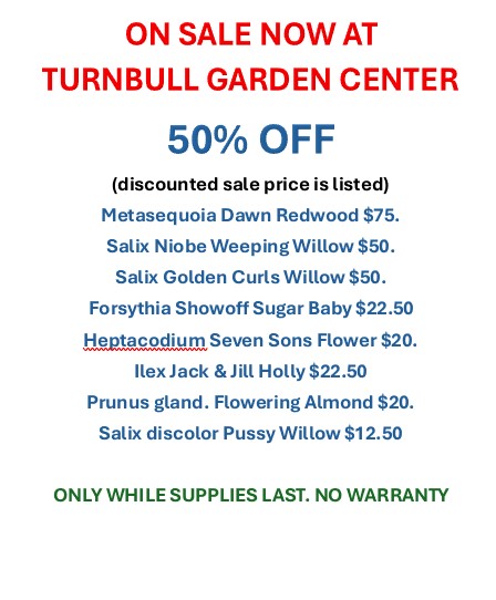 50% OFF SALE 5.29.2026